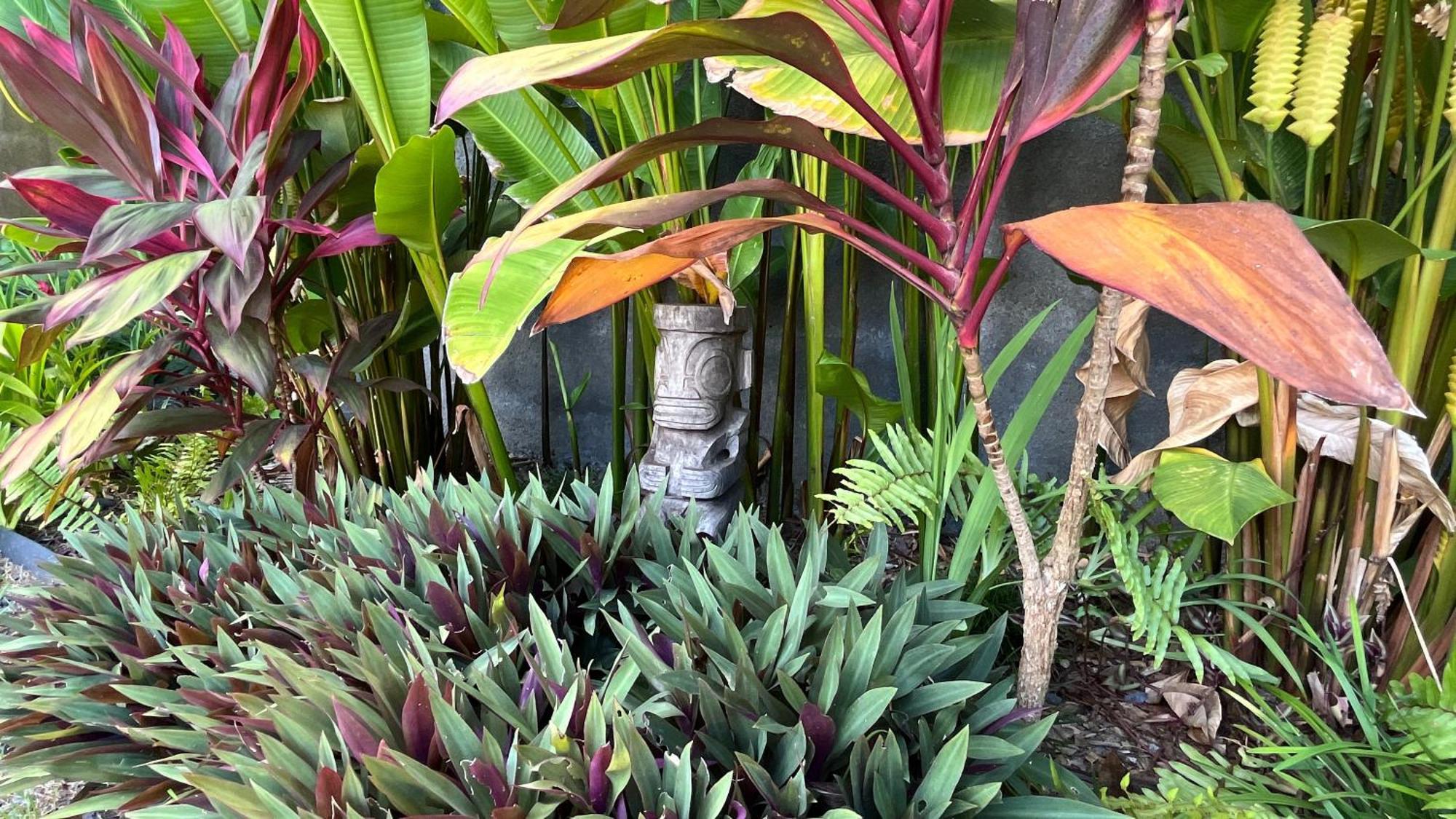 Ononui Lodge Airport, Ocean-View, Private Bathroom And Balcony, Free Wifi And Parking, On-Site Car Rental Faaa Luaran gambar